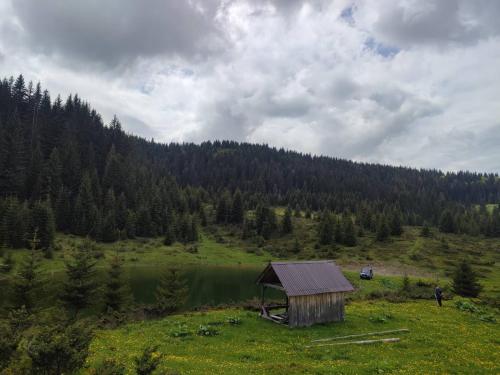 KOLIBA Marijanović (KOLIBA Marijanovic) in Andrijevica