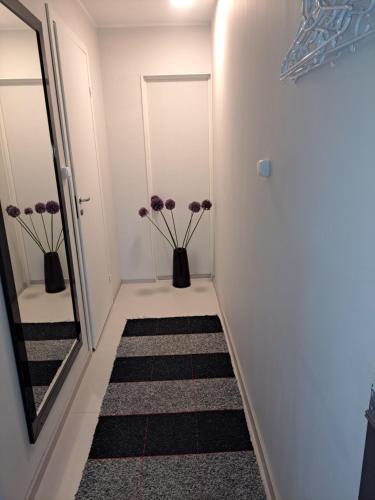 Kullerkupu Hostel in Kudjape