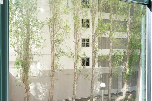 South Beach 1br w pool gym lounge nr dining SFO-1405 South Beach 1br w pool gym lounge nr dining SFO-1405