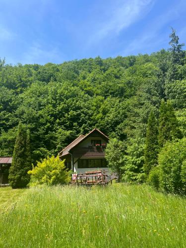 Cottage by the river Valea Draganului - Poeni