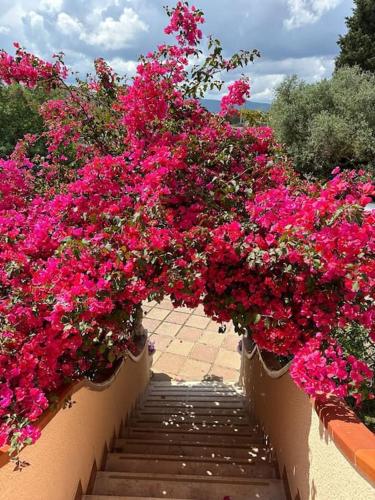  Casa Vacanze La Brii, Unterkunft in Iglesias