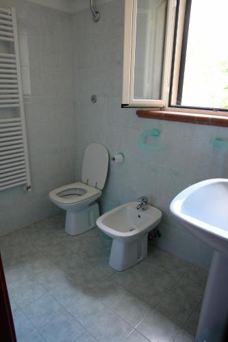 Case in campagna con piscina a Todi (monolocale), Todi (foto 6)