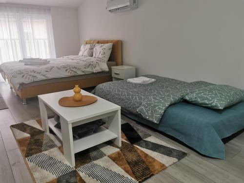 Studio apartmani Banja Koviljaca