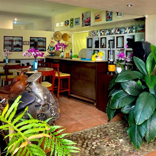 Casa Don Pancho in Cuernavaca, Mexico