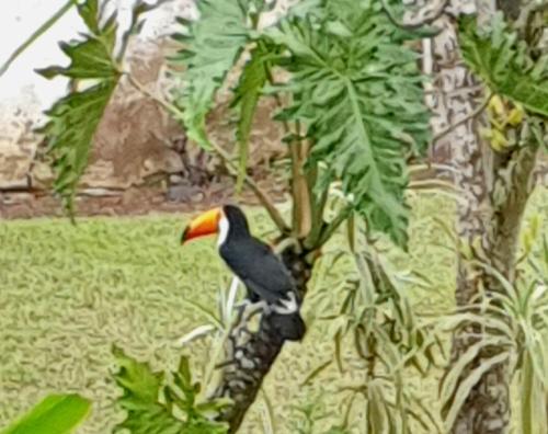 Casa do Barão, São José das Três Ilhas