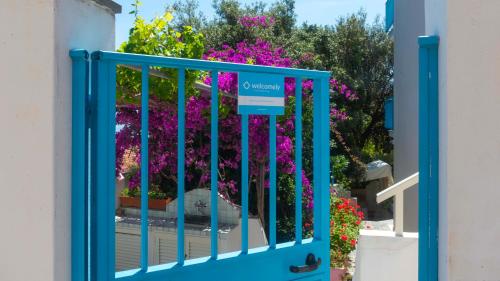 Gabbiani - Cala Gonone, Cala Gonone (Foto 8)