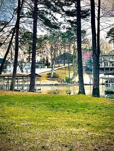 Super Spacious, Pet Friendly, 4bd 3bth Relaxing Getaway on Lake Hamilton in Hot Springs, USA