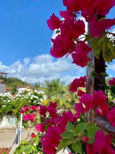 Aurora Hostel Aurora Hostel