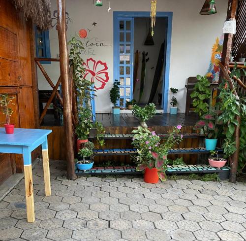 Aurora Hostel