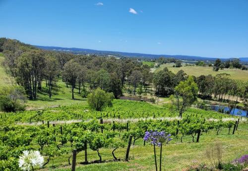 Mistress Block Vineyard