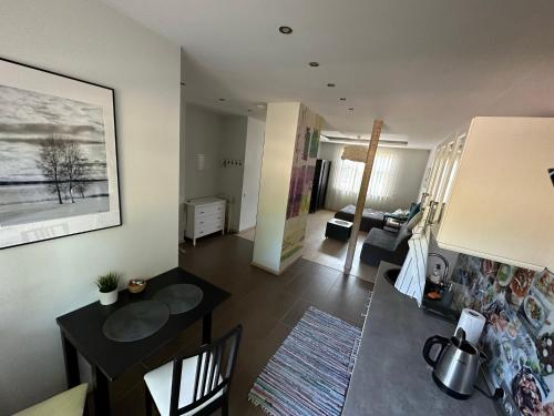 Studio apartment in private house III Renovation in other apartment, Riga (foto 8)