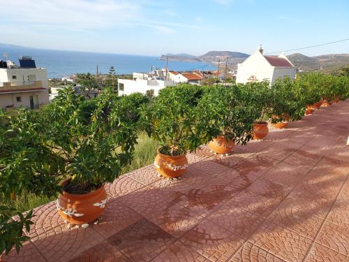 Beautiful panoramic apartment in Agia Fotia Sitia