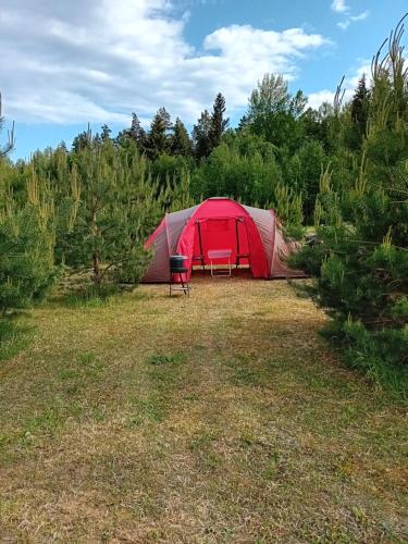 OÜ Jöeääre majutus. (OU Joeaare majutus.) in Rannapungerja