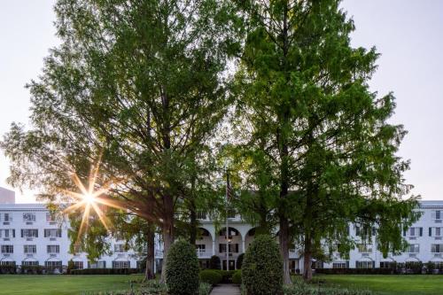 The Madison Hotel - image 9