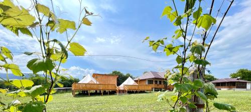 Glamping Agapia Agapescu in Agapia
