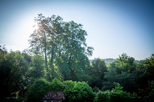 Les Chemins de Berdis