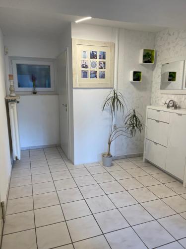 مدخل, Albblick in البستادت