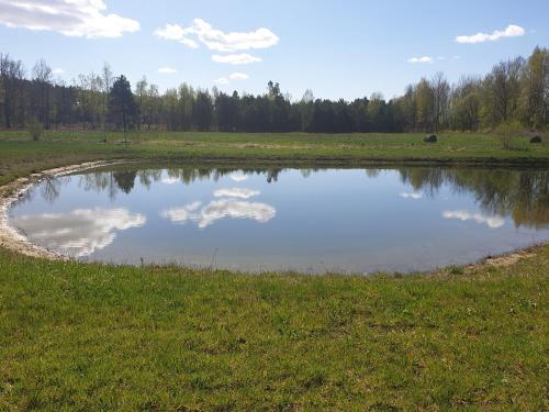 Apkārtne, Forest edge in Saugos