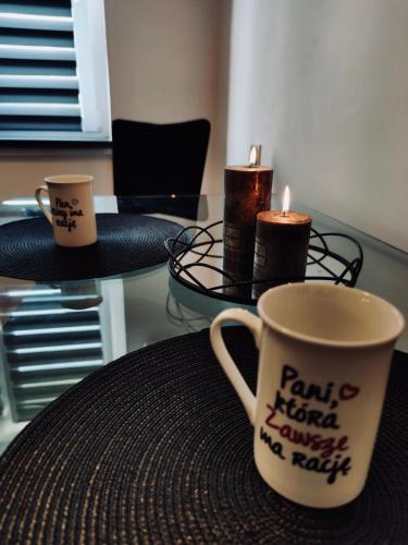 Faciliteter, Apartament z parkingiem in Pyskowice