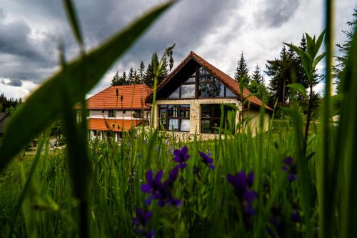 Pensiunea Romconcord - Chambre d'hôtes - Bălceşti