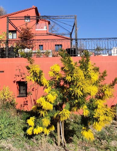 Mas des Buscades – Cabris, CT