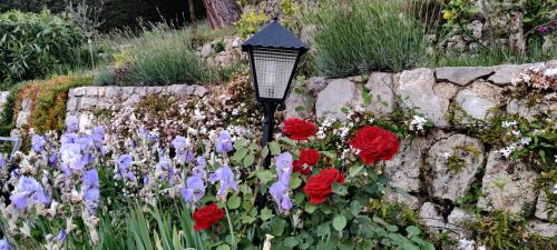 Mas des Buscades – Cabris, CT