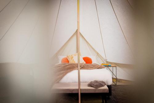 Goldfield Glamping