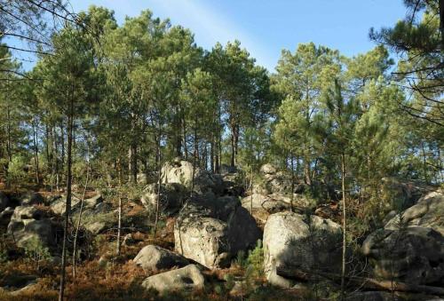 Maison de campagne - Bois le roi 4 pers