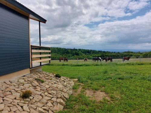 Domki na Łące (Domki na Lace) in ยาสวอ