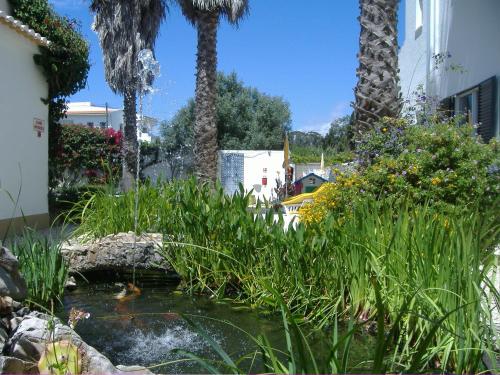 Dona Ana Garden - image 14