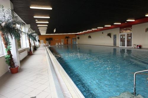 App 420 mit Schwimmbad und Sauna im Panoramic Hohegeiß Braunlage