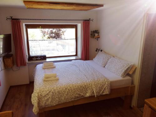 Studio Apartment Erlengrund