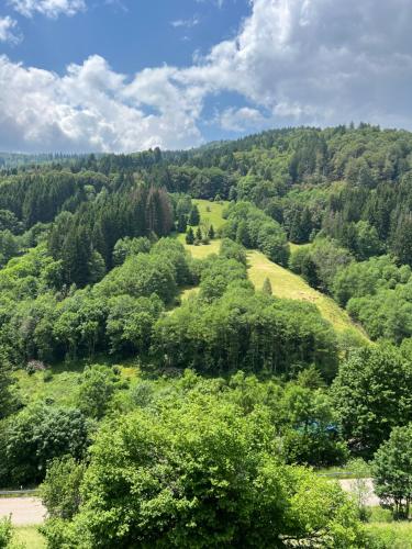 Bollenlodge - Ferienwohnung mit Ausblick und Top Lage, Todtnau (Foto 8)