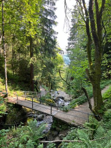 Bollenlodge - Ferienwohnung mit Ausblick und Top Lage