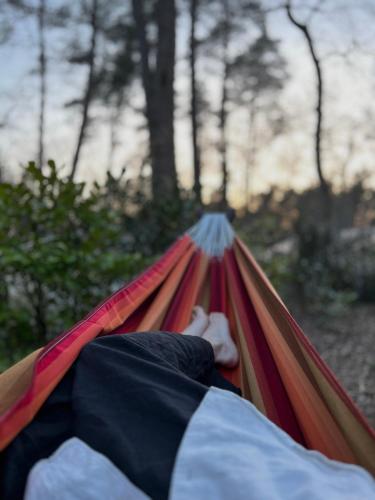 Taiga tiny house Taiga tiny house