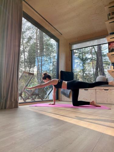 Taiga tiny house Taiga tiny house