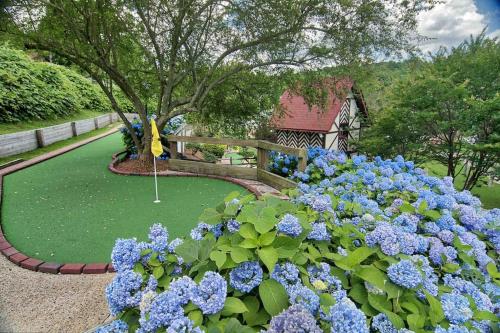 Lily's Lookout Lodge - Helen, GA