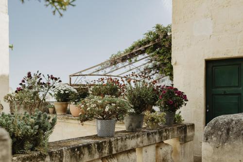 L'Arturo B&B - main image