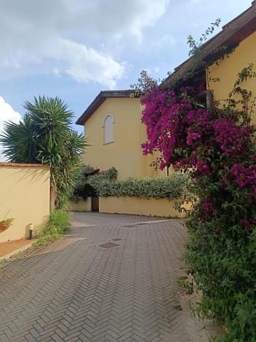 A casa di Elly, Rome