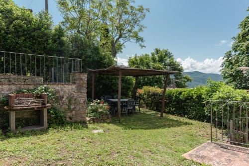 Universal Harmony - Capinera