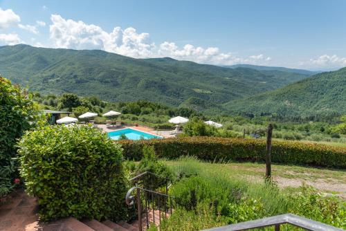 Universal Harmony - Capinera