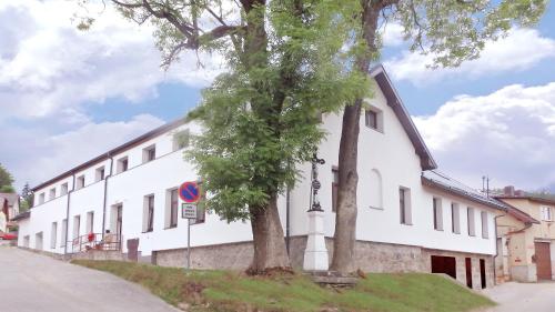 Penzion U Provazníka (Penzion U Provaznika) in 茲迪科夫