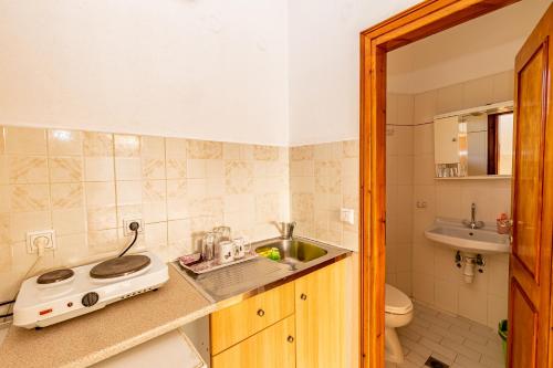Skioni Studios - image 11