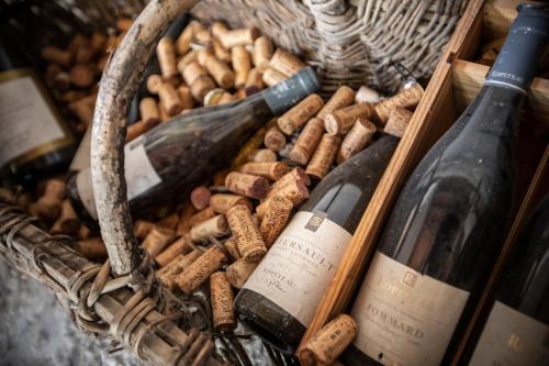 Huttopia Meursault - image 8