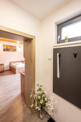 Apartmány Lucie