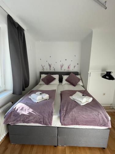  Luxurious and Spacious family apartment in Wien
