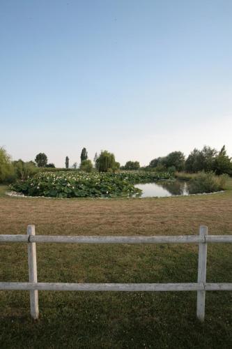 Villa Casa Country - image 3