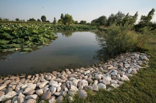 Villa Casa Country - image 11