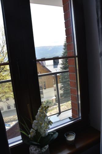 APARTAMENT B13 GREEN PARK RESORT, Szklarska Poręba (zdjęcie 9)