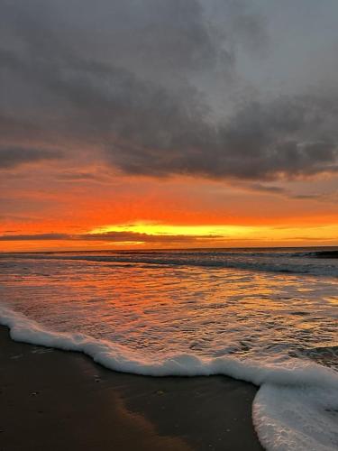 OCEAN VIEW condo with POOL steps from the beach! Your Driftwood Oasis awaits!